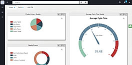 Bizintel360 screenshot