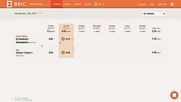Tracking Time with Brics Timesheet