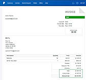 Business Payments : Transactions screenshot
