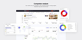 Competitor Analysis