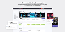 Influencer Statistics and Audience Analytics