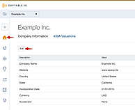Share Fully Diluted Ownership