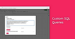 Castodia : Custom SQL Queries