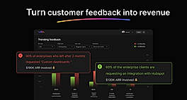 Customer Feedback into Revenue