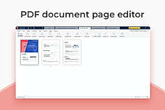 PDF Document Page Editor screenshot