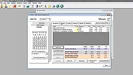 DietMaster Pro Custom Meal Plan Template Development