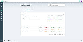 Listing Audit screenshot
