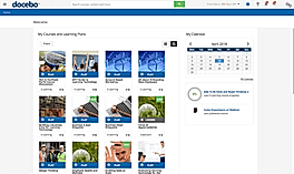 Generating Custom Report