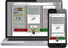 DoYouNotes screenshot