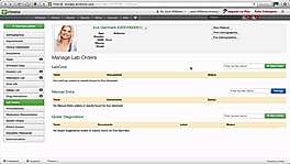 Manual Entries of Labs