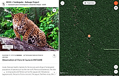 Geo Localized Content