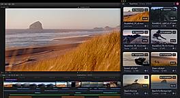 Team collabration integration