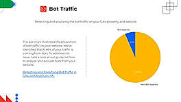 Bot Traffic