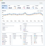 GingerTag screenshot