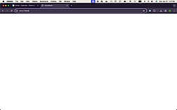 Open Google Chrome
