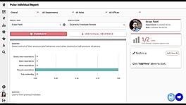 Pluse individual report