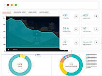 Hippo video- Reports