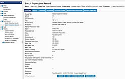 Batch Production Method