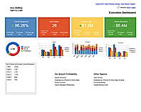 Executive dashboard