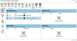 Professional Edition