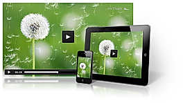 JW Player screenshot: Great Look on Every Device