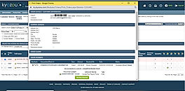 Order Payment screenshot