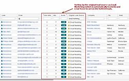 Website Visitor Traffic