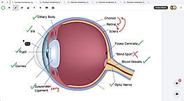 Lessonspace screenshot