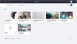 Liferay Digital Experience screenshot