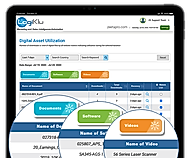 Digital Assest  Utilization