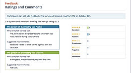 Lucid Meetings : Feedback screenshot