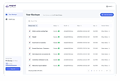 Figma Backup