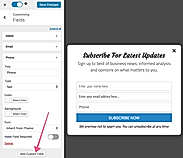Mailoptin Custom Fields