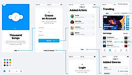 User Flows