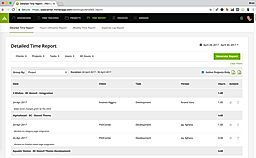 Detailed Time Report
