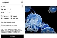 Embeded video