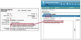 Salesforce.com and NetIQ Access Manager