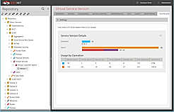 Virtual Service Vision