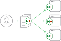 NGINX Plus Screenshot