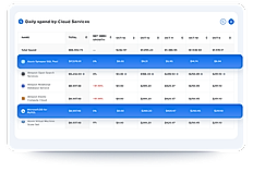 Daily spend by control service