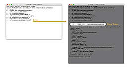 Call Request Token API