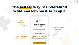 OpinionX - Survey Experience screenshot