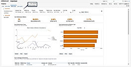  RI reporting summary
