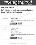 Page Speed Leads screenshot