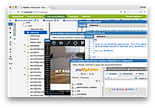 PaizaCloud IDE screenshot