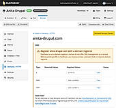 Platforms and custom domains