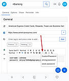 Insert-Custom-Password