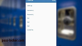 Add Websites passwords