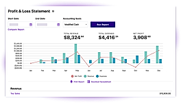 Patriot Accounting screenshot
