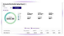 Patriot Accounting screenshot